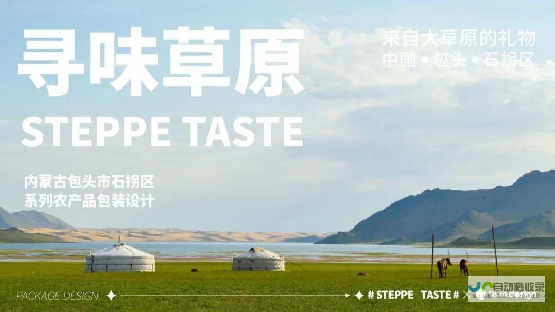 打造内蒙古品牌形象：专业网站建设，助力企业茁壮成长