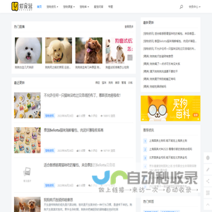 有态度的爱宠生活服务平台 - 爱宠营