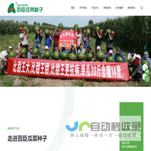 大丰友邦极限运动场地建设有限公司-大丰友邦极限运动场地建设有限公司
